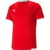 Puma LIGA Trainingsset