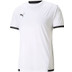 Puma LIGA Trainingsset