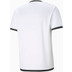 Puma LIGA Trainingsset