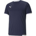Puma LIGA Trainingsset