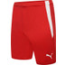 Puma LIGA Trainingsset