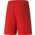 Puma LIGA Trainingsset
