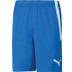 Puma LIGA Trainingsset