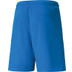 Puma LIGA Trainingsset