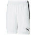 Puma LIGA Trainingsset