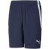 Puma LIGA Trainingsset