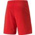 Puma RISE Trainingsset