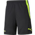Puma Borussia Dortmund Training Short 1