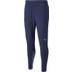 Puma Manchester City Training Pant 2