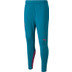 Puma Manchester City Training Pant 1
