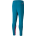Puma Manchester City Training Pant 2