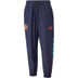 Puma Manchester City Ftbl Heritage Track Pant