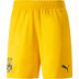 Puma Borussia Dortmund Hemma Fotboll kit 

