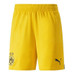 Puma Borussia Dortmund Thuis Tenue Kids
