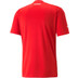 Puma Oostenrijk Thuis Shirt 2022/2023 3