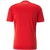 Puma Oostenrijk Thuis Shirt 2022/2023 4