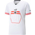 Puma Oostenrijk Uit Shirt 2022/2023