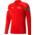 Puma Zwitserland Training Top 2022/2023