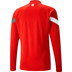 Puma Zwitserland Training Top 2022/2023