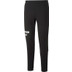 Puma Manchester City Casuals Trainingspak