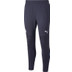 Puma Manchester City Trainingspak
