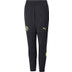 Puma Manchester City Trainingspak Kids