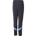 Puma Manchester City Trainingspak Kids