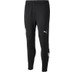 Puma Oostenrijk Trainingspak