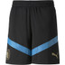 Puma Uruguay Training Short 2022/2023