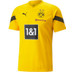 Puma Borussia Dortmund Trainingsset