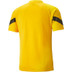 Puma Borussia Dortmund Trainingsset