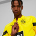 Puma Borussia Dortmund Tracksuit
