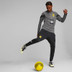 Puma Borussia Dortmund Tracksuit
