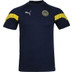 Puma Fenerbahce Training Shirt 2022/2023