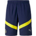 Puma Fenerbahce Training Short 2022/2023