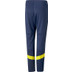 Puma Fenerbahce Trainingspak