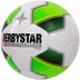 Derbystar Indoor Futsal Basic Pro TT