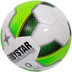 Derbystar Indoor Futsal Basic Pro TT