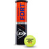 Dunlop Fort Max TP KNLTB 1x4