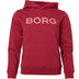 Björn Borg Logo Hoody 2