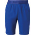 Björn Borg Logo Active Short 1
