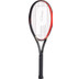 Prince TeXtreme Beast 100 - 300 Gr.