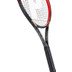 Prince TeXtreme Beast 100 - 300 Gr.