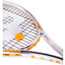 Prince/Hydrogen Beast 100 280 GR. Tweedekans 2