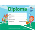 KNLTB Diploma Groen - 10 stuks 1
