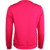 The Indian Maharadja Sweater Crew Silver Indian Da