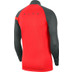 Nike Dri-Fit Academy Pro Drill Top