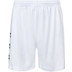 Robey Performance Training Short