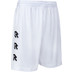 Robey Performance Training Short