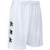 Robey Performance Training Short Kids